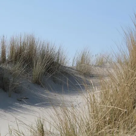 Gasthuis Appartementhaus Alte Post Langeoog